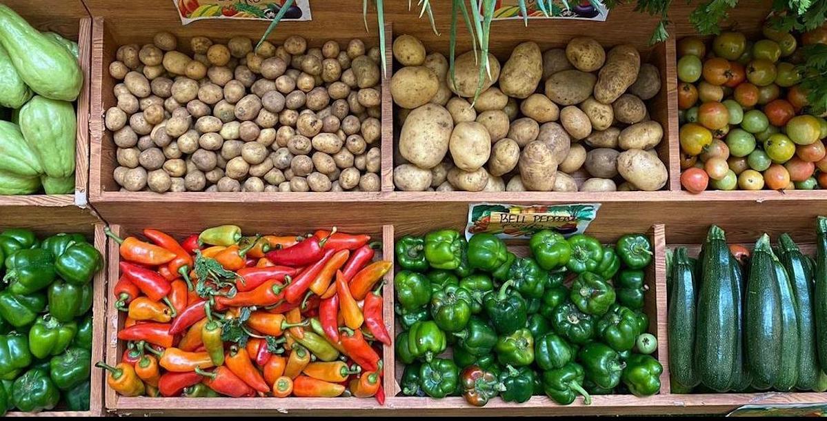 Farmers’ Produce comes back with seasonal, organic products • PhilSTAR Life